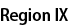 Region IX