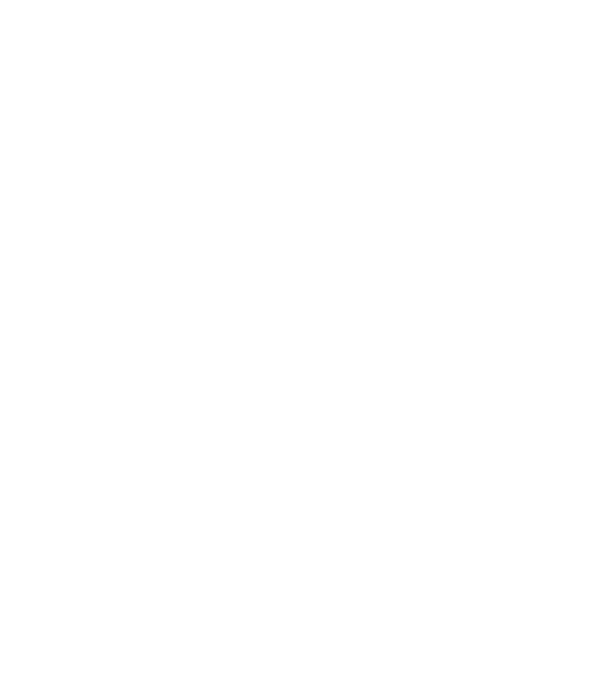 Impacts of Fall on family member