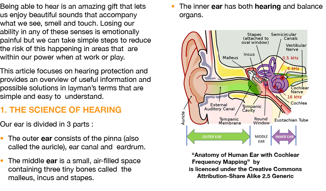 Being able to hear is an amazing gift that lets us enjoy beautiful sounds that accompany what we see, smell and touch   