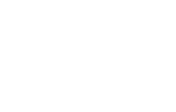 Human beings are cognitive and process information from a variety of sources and the five senses to arrive at a decis   
