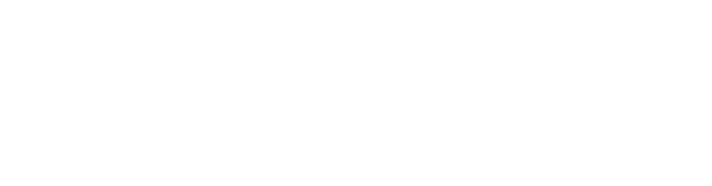 Developing Company Emergency Managers by VR technology