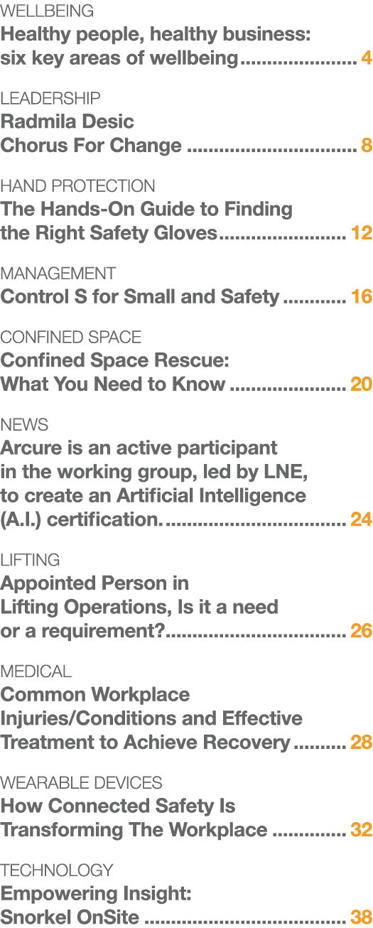 Wellbeing Healthy people, healthy business: six key areas of wellbeing 4 Leadership Radmila Desic Chorus For Change 8   