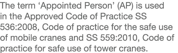 The term  Appointed Person  (AP) is used in the Approved Code of Practice SS 536:2008, Code of practice for the safe    