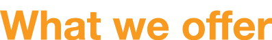 What we offer