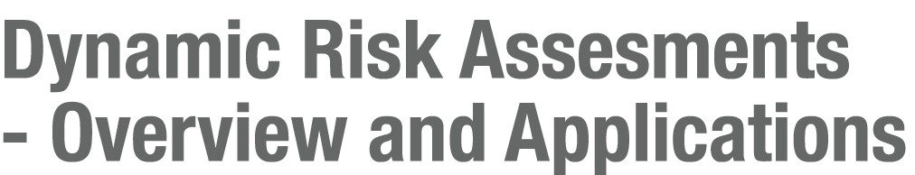 Dynamic Risk Assesments - Overview and Applications