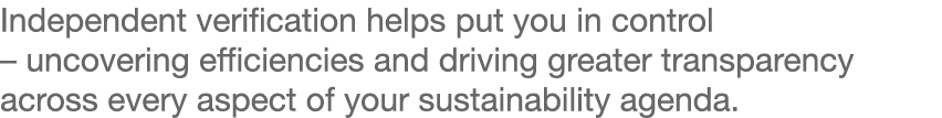 Independent verification helps put you in control – uncovering efficiencies and driving greater transparency across e...