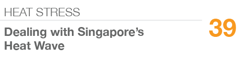 HEAT STRESS,39,Dealing with Singapore’s Heat Wave