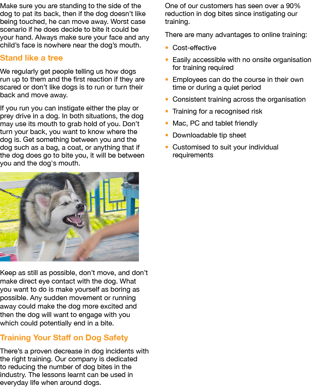 Make sure you are standing to the side of the dog to pat its back, then if the dog doesn’t like being touched, he can...