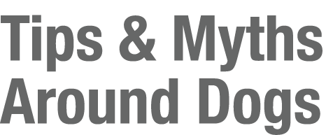 Tips & Myths Around Dogs