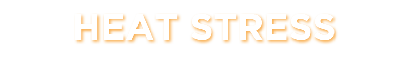 HEAT STRESS