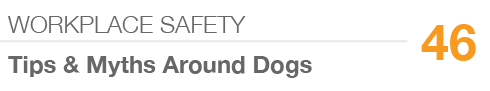 WORKPLACE SAFETY,46,Tips & Myths Around Dogs