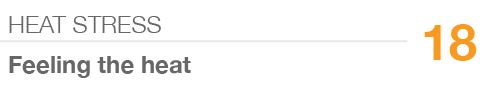 HEAT STRESS,18,Feeling the heat
