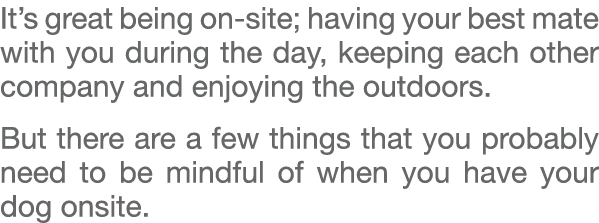 It’s great being on site; having your best mate with you during the day, keeping each other company and enjoying the ...