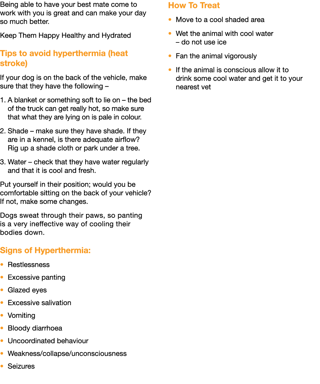 Being able to have your best mate come to work with you is great and can make your day so much better. Keep Them Happ...
