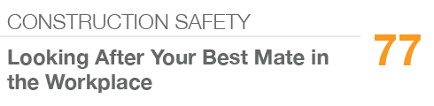 CONSTRUCTION SAFETY,77,Looking After Your Best Mate in the Workplace