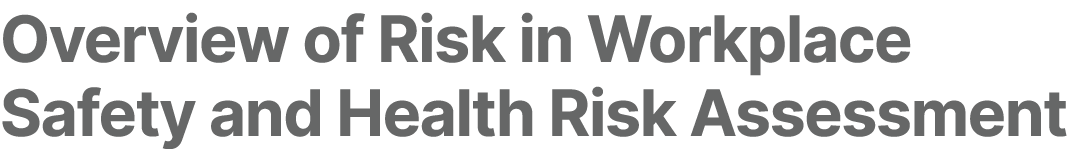 Overview of Risk in Workplace Safety and Health Risk Assessment