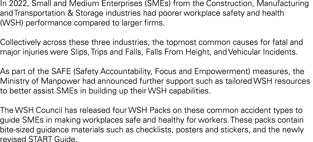 In 2022, Small and Medium Enterprises (SMEs) from the Construction, Manufacturing and Transportation & Storage indust...