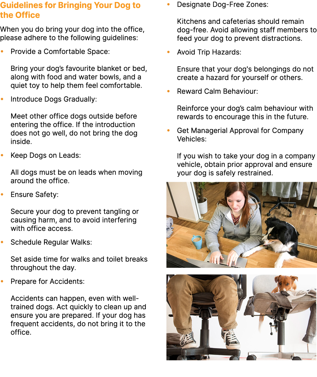 Guidelines for Bringing Your Dog to the Office When you do bring your dog into the office, please adhere to the follo...