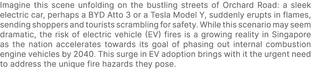 Imagine this scene unfolding on the bustling streets of Orchard Road: a sleek electric car, perhaps a BYD Atto 3 or a...