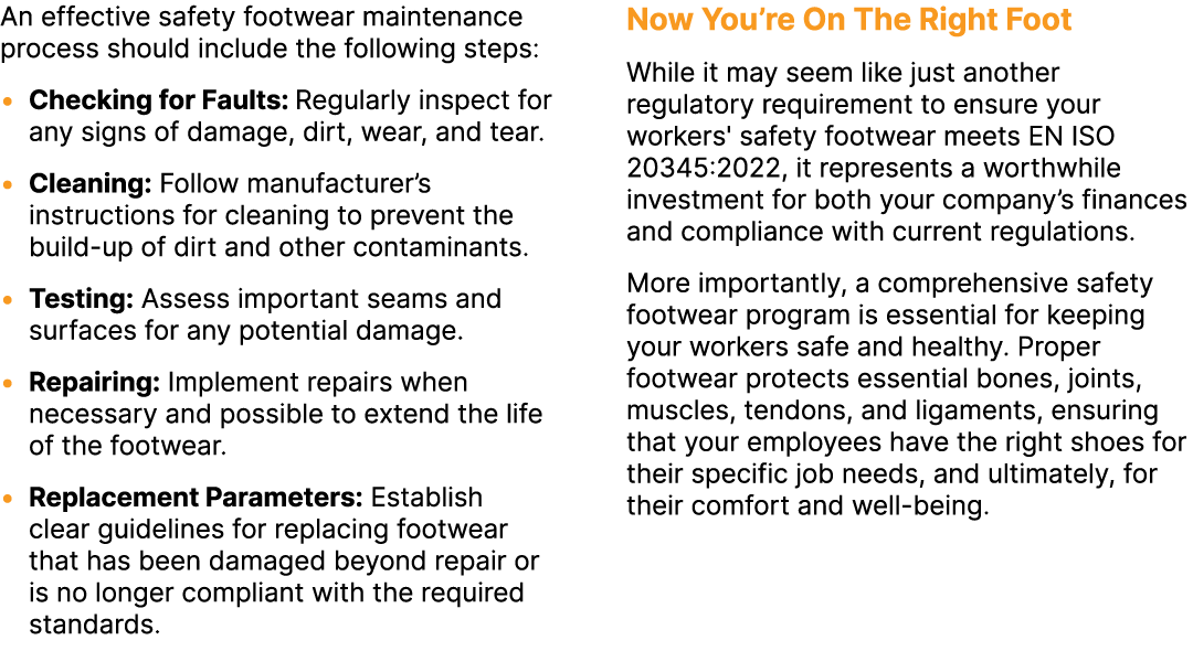 An effective safety footwear maintenance process should include the following steps: • Checking for Faults: Regularly...