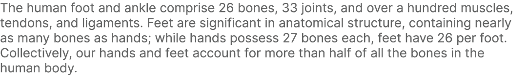 The human foot and ankle comprise 26 bones, 33 joints, and over a hundred muscles, tendons, and ligaments. Feet are s...
