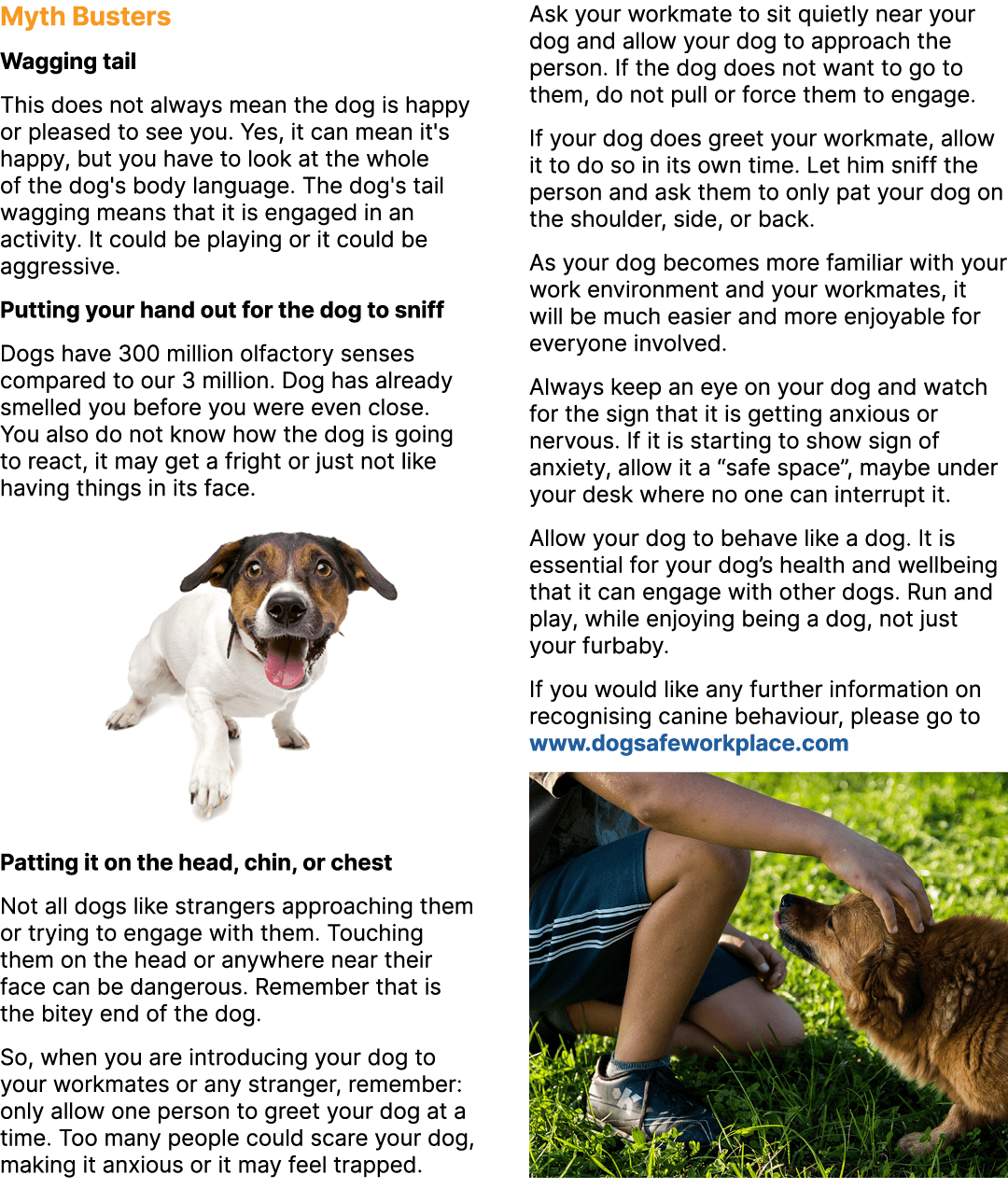 Myth Busters Wagging tail This does not always mean the dog is happy or pleased to see you. Yes, it can mean it's hap...