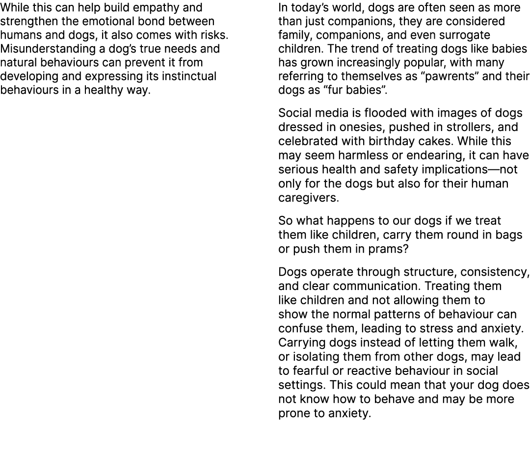 While this can help build empathy and strengthen the emotional bond between humans and dogs, it also comes with risks...