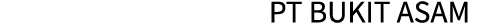 PT Bukit Asam.