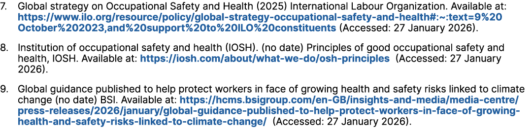 7. Global strategy on Occupational Safety and Health (2025) International Labour Organization. Available at: https://...