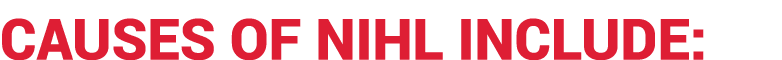 CAUSES OF NIHL INCLUDE:​