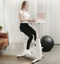 ERGOWORKS – EW-F209DT-WH – All-In-One Desk Bike (White)