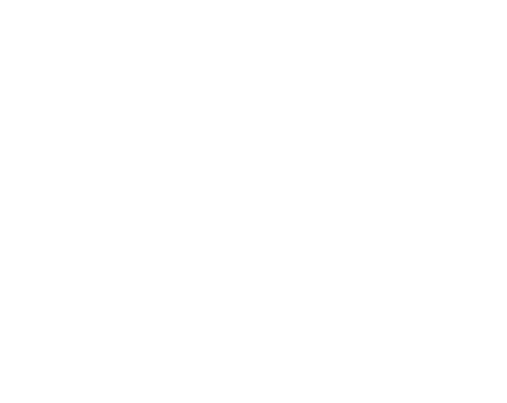 ​​Ir Prof. Vincent Ho has 40 years of experience in establishing corporate safety governance and management system, w...